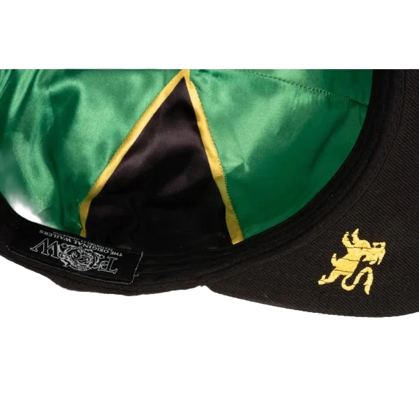 The Original Wailers Featuring Al Anderson Snapback