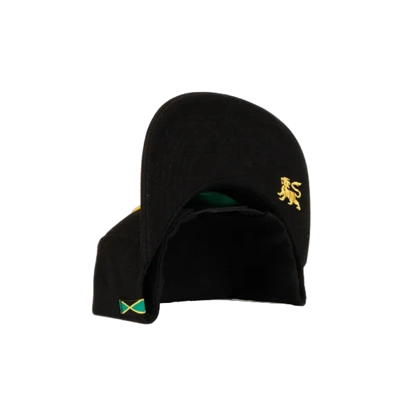 The Original Wailers Featuring Al Anderson Snapback
