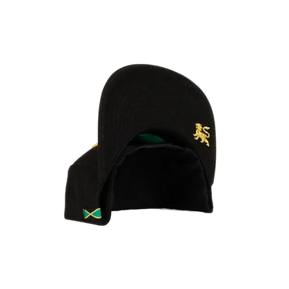 The Original Wailers Featuring Al Anderson Snapback
